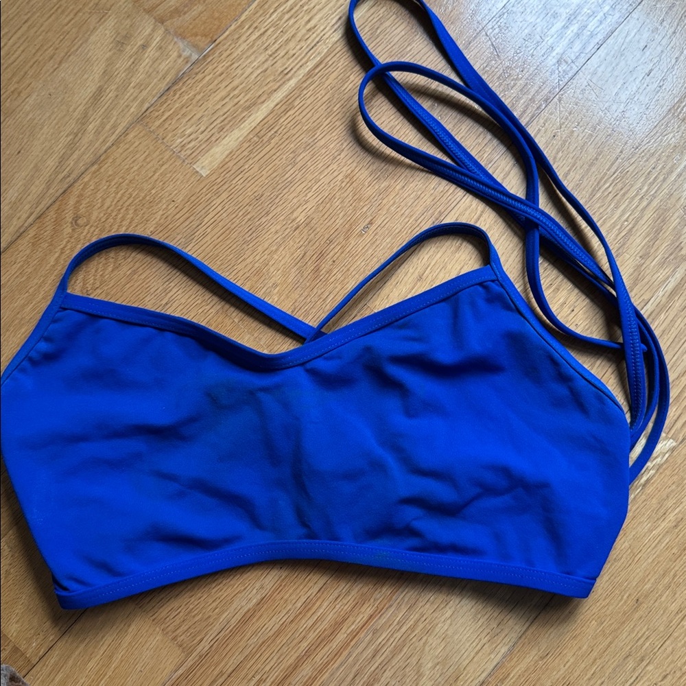 Jolyn Grayson blueberry bikini top DD